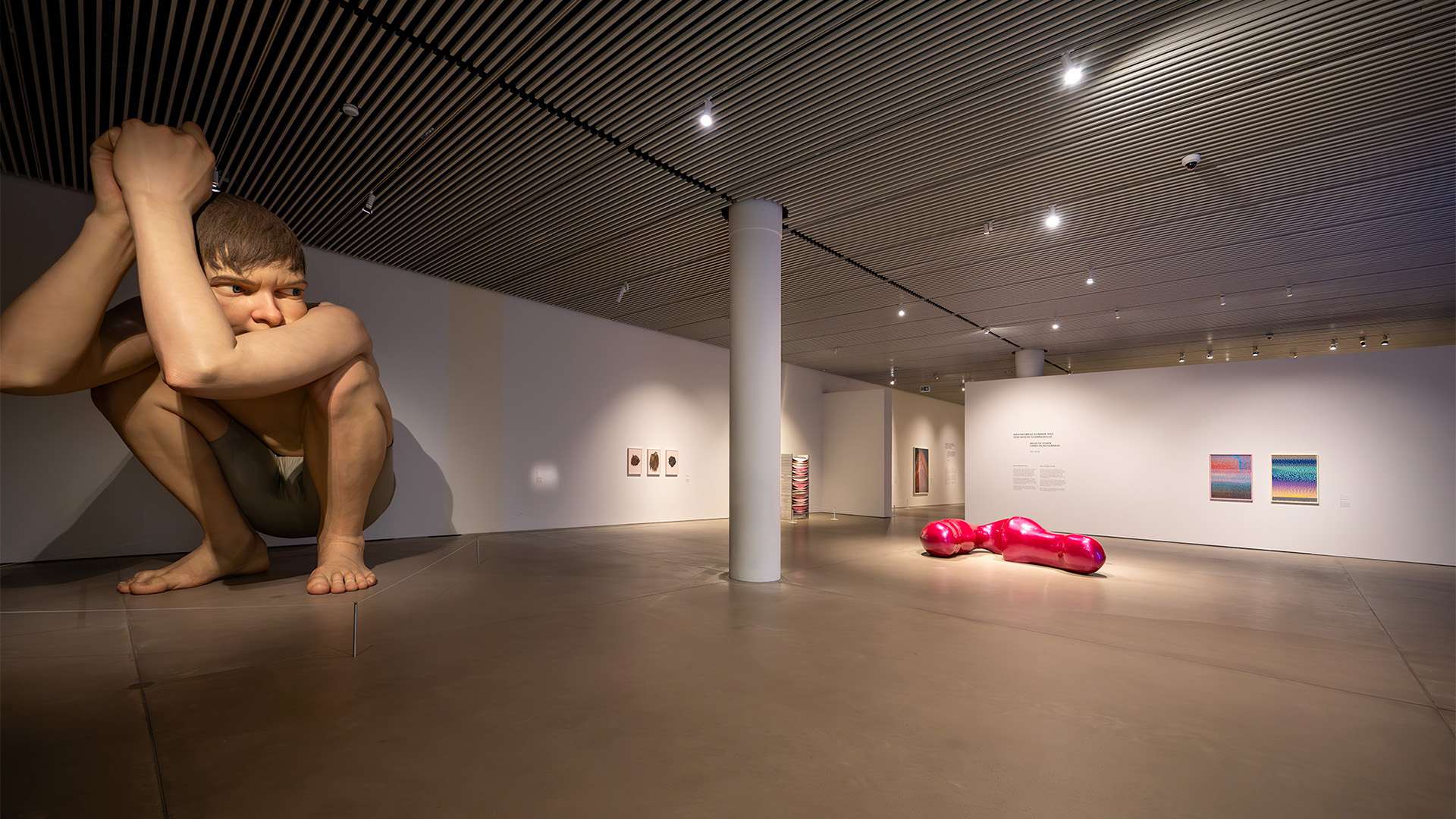 ARoS Aarhust Art Museum with DAMPA Lamella