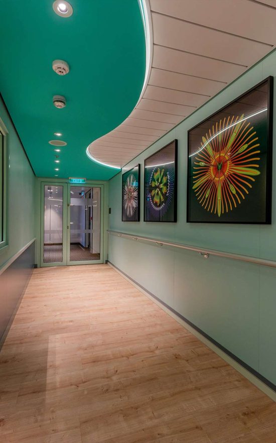 DAMPA Ceiling on P&O Iona